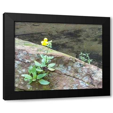 Riparian I Black Modern Wood Framed Art Print by Popcorn