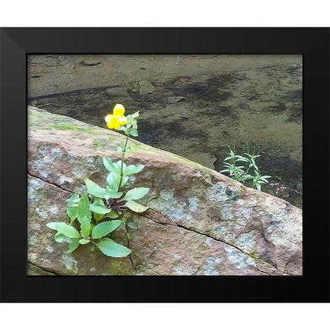 Riparian I Black Modern Wood Framed Art Print by Popcorn