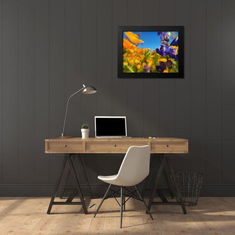 Wildflower III Black Modern Wood Framed Art Print by Popcorn