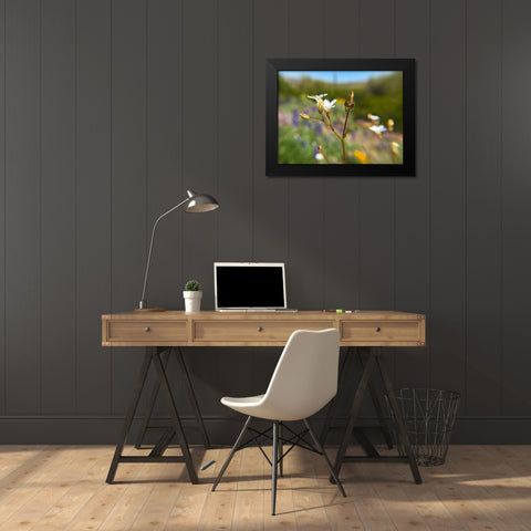 Wildflower V Black Modern Wood Framed Art Print by Popcorn