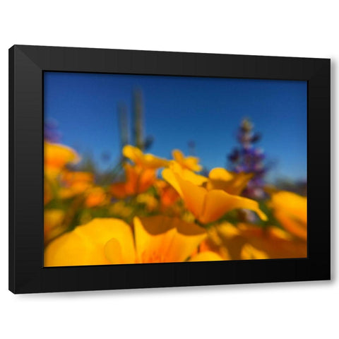 Wildflower VIII Black Modern Wood Framed Art Print with Double Matting by Popcorn