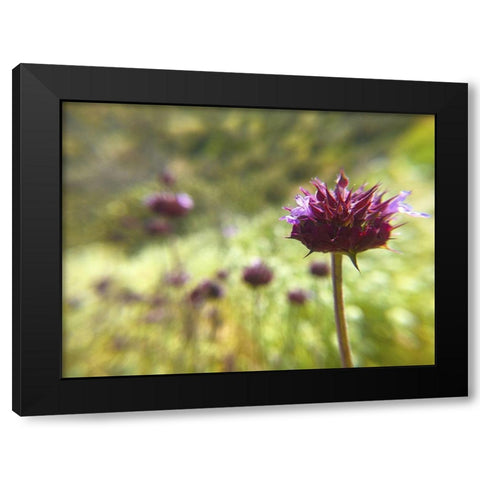 Sage I Black Modern Wood Framed Art Print by Popcorn