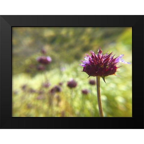Sage I Black Modern Wood Framed Art Print by Popcorn