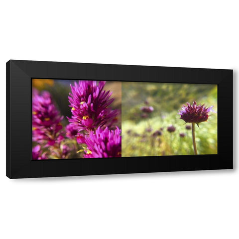 Wildflowers Collage I Black Modern Wood Framed Art Print by Popcorn
