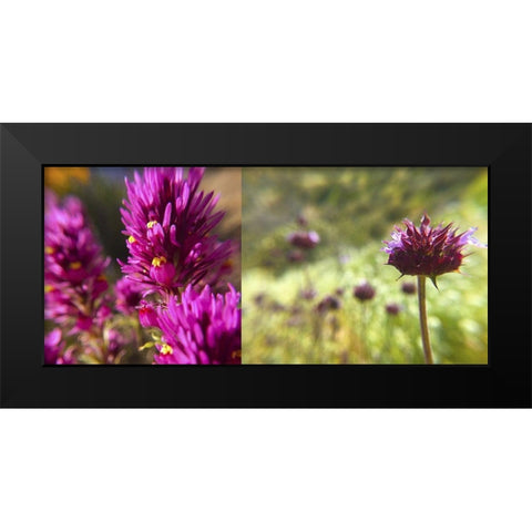 Wildflowers Collage I Black Modern Wood Framed Art Print by Popcorn