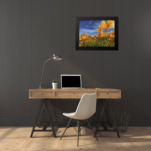 Wildflowers XII Black Modern Wood Framed Art Print by Popcorn
