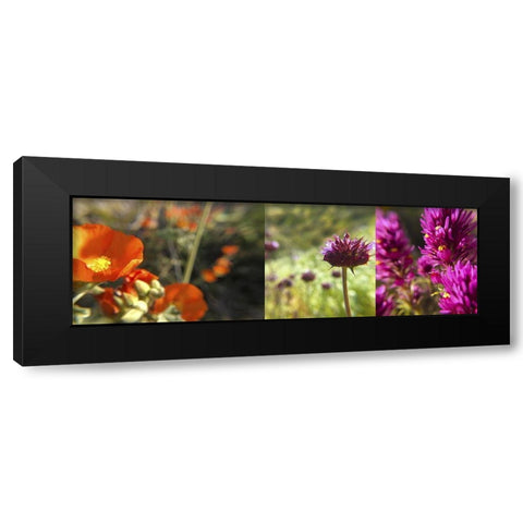 Wildflowers Collage II Black Modern Wood Framed Art Print by Popcorn