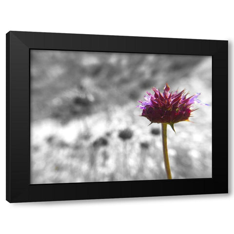 Sage I: BandW Black Modern Wood Framed Art Print with Double Matting by Popcorn
