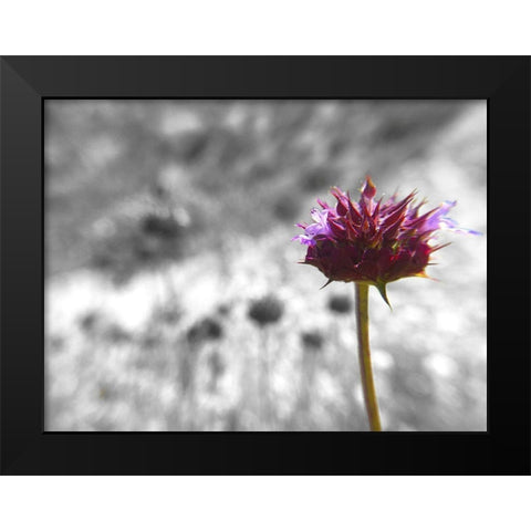 Sage I: BandW Black Modern Wood Framed Art Print by Popcorn