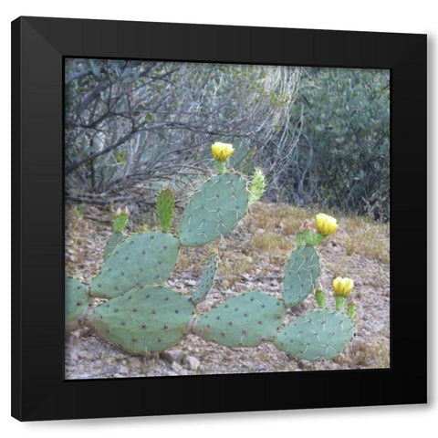 Wildflowers XX Black Modern Wood Framed Art Print by Popcorn