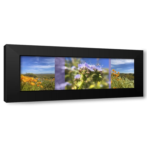 Wildflowers Collage IV Black Modern Wood Framed Art Print by Popcorn