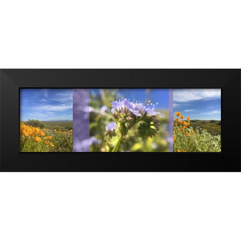 Wildflowers Collage IV Black Modern Wood Framed Art Print by Popcorn