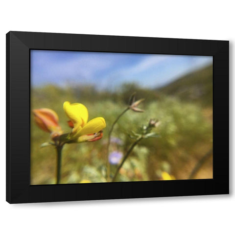 Wildflowers XXX Black Modern Wood Framed Art Print by Popcorn