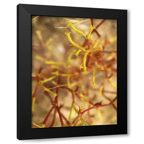 Wildflowers XXX Black Modern Wood Framed Art Print with Double Matting by Popcorn