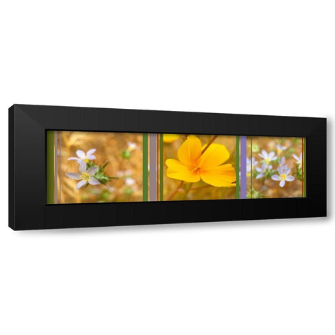 Wildflowers Collage VI Black Modern Wood Framed Art Print with Double Matting by Popcorn