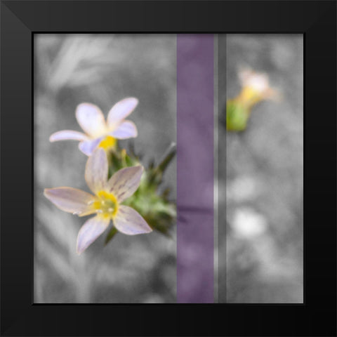 Wildflowers BandW VIII A Black Modern Wood Framed Art Print by Popcorn