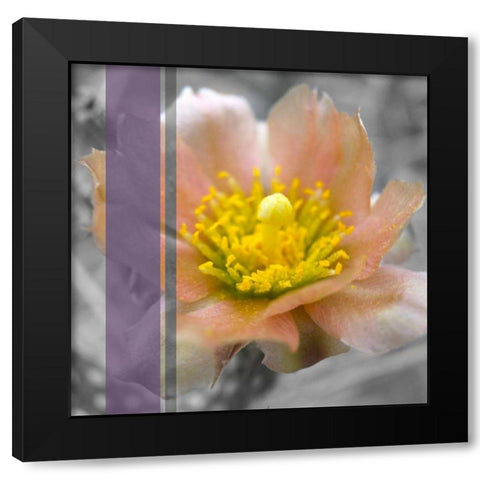 Cactus Flower BandW I A Black Modern Wood Framed Art Print by Popcorn