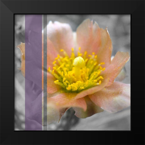 Cactus Flower BandW I A Black Modern Wood Framed Art Print by Popcorn