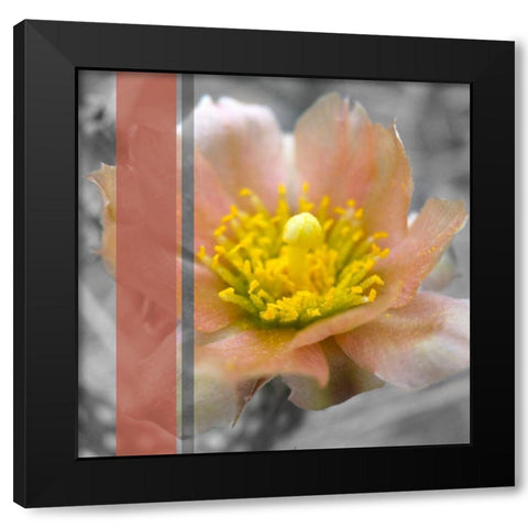 Cactus Flower BandW I B Black Modern Wood Framed Art Print by Popcorn