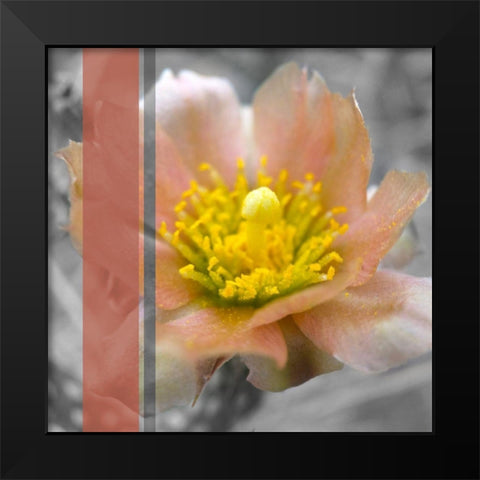Cactus Flower BandW I B Black Modern Wood Framed Art Print by Popcorn
