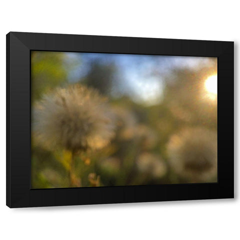 Golden Hour II Black Modern Wood Framed Art Print by Popcorn