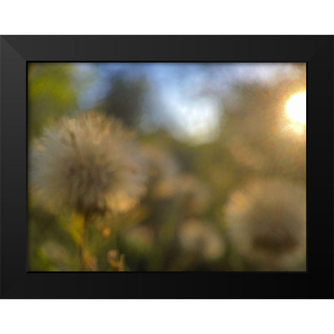 Golden Hour II Black Modern Wood Framed Art Print by Popcorn