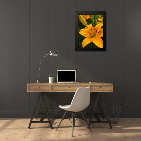 Yellow Lilly Black Modern Wood Framed Art Print by Popcorn