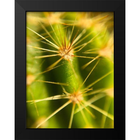 Cactus Black Modern Wood Framed Art Print by Popcorn