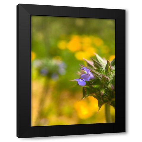Wildflowers XLI Black Modern Wood Framed Art Print by Popcorn