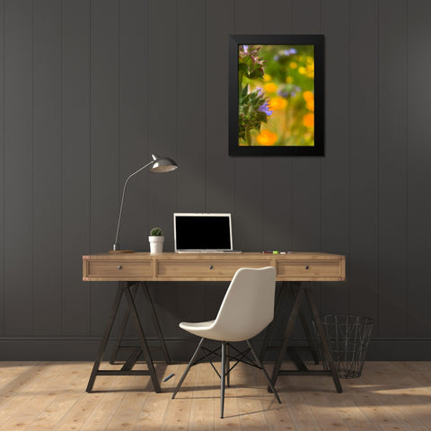 Wildflowers XLII Black Modern Wood Framed Art Print by Popcorn