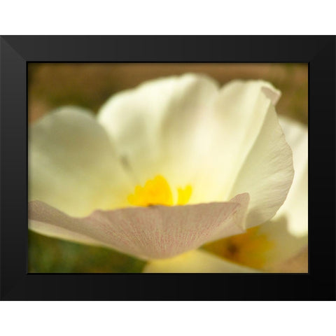 Wildflowers Nostalgia III Black Modern Wood Framed Art Print by Popcorn