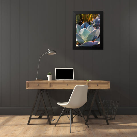 Mescal Agave C Black Modern Wood Framed Art Print by Tenoever, William