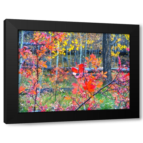 Fall Somewhere Black Modern Wood Framed Art Print with Double Matting by Tenoever, William