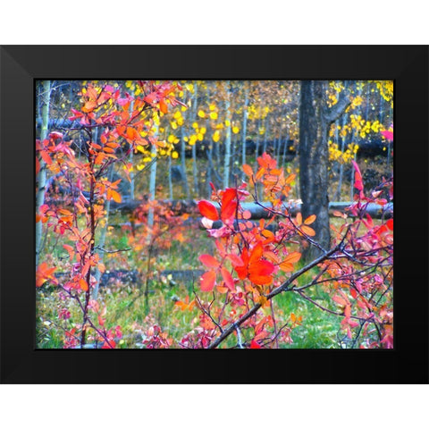 Fall Somewhere Black Modern Wood Framed Art Print by Tenoever, William
