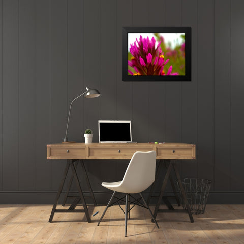 Owl Clover Black Modern Wood Framed Art Print by Tenoever, William