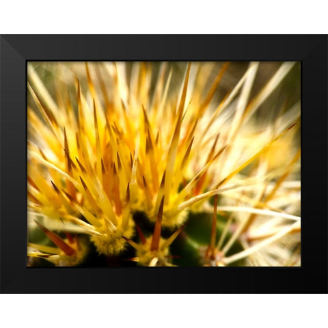 HedgehogCactus Black Modern Wood Framed Art Print by Tenoever, William