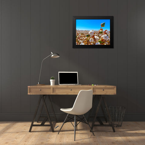 CottonFields1 Black Modern Wood Framed Art Print by Tenoever, William