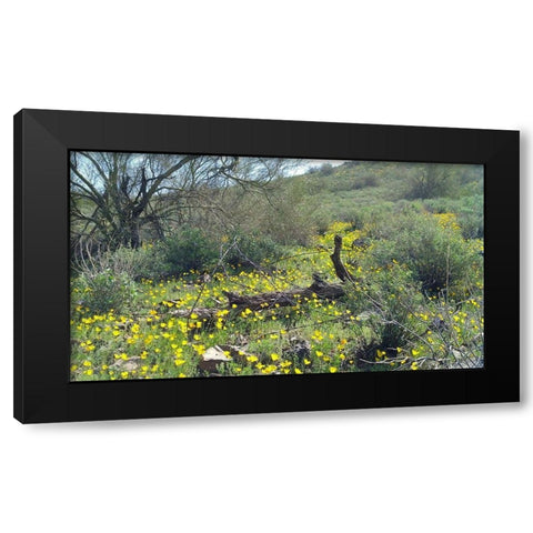 Desert Scape 4 Black Modern Wood Framed Art Print with Double Matting by Popcorn