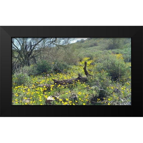 Desert Scape 4 Black Modern Wood Framed Art Print by Popcorn