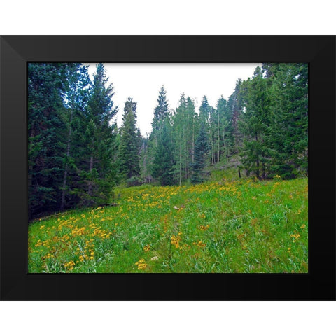 Wildflower IX Black Modern Wood Framed Art Print by Popcorn
