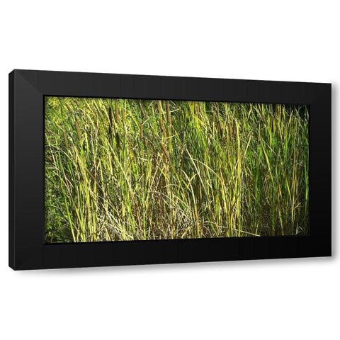 Roper Lake II: Grasses I Black Modern Wood Framed Art Print by Popcorn