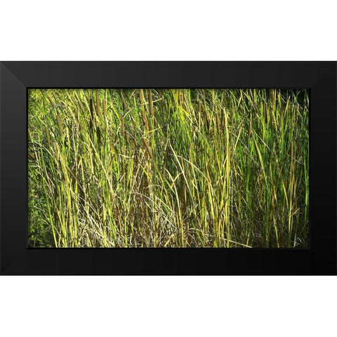 Roper Lake II: Grasses I Black Modern Wood Framed Art Print by Popcorn