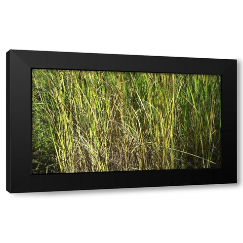 Roper Lake III: Grasses II Black Modern Wood Framed Art Print with Double Matting by Popcorn