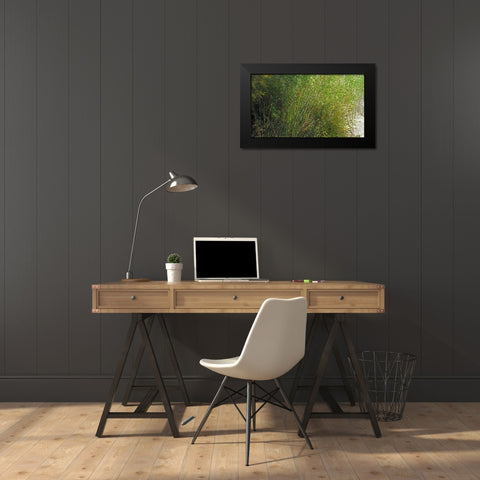 Roper Lake IV: Grasses III Black Modern Wood Framed Art Print by Popcorn