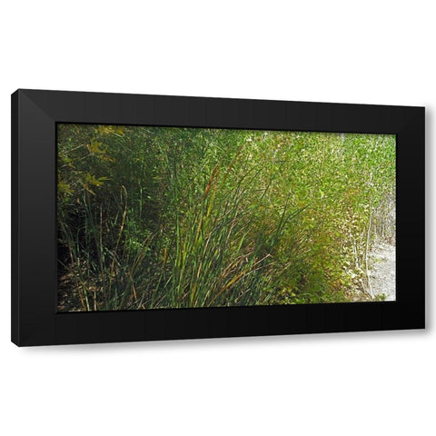Roper Lake IV: Grasses III Black Modern Wood Framed Art Print by Popcorn