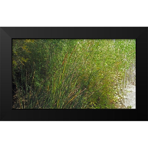 Roper Lake IV: Grasses III Black Modern Wood Framed Art Print by Popcorn