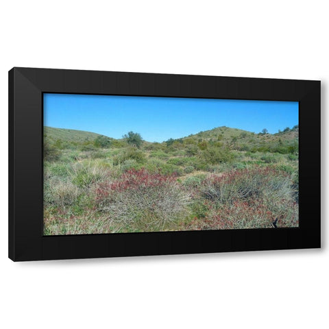 Desert Scape 5: Penstemon Black Modern Wood Framed Art Print with Double Matting by Popcorn