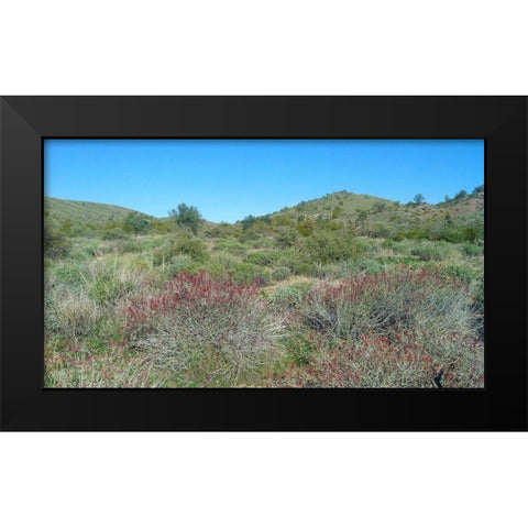 Desert Scape 5: Penstemon Black Modern Wood Framed Art Print by Popcorn