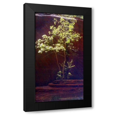 Oak Creek Canyon I Black Modern Wood Framed Art Print with Double Matting by Popcorn