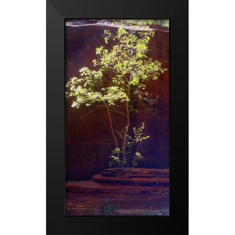 Oak Creek Canyon I Black Modern Wood Framed Art Print by Popcorn
